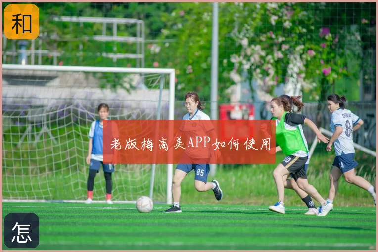 老版梅高美APP如何使用